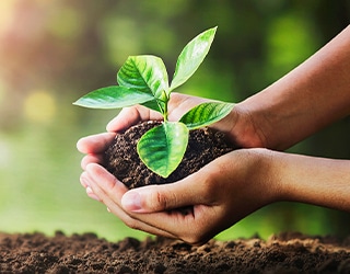 土と幼苗を両手で包み、植物と触れ合う様子（触覚を楽しむ）