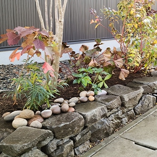 大きな自然石で造った低い石垣の上に、丸みのある玉石を並べた植栽境の石積み。モダンな建物前の造園。