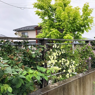 グリーンワークス